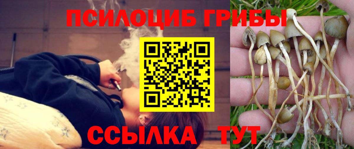 Каменск-Шахтинский  Галлюциногенные грибы MAGIC MUSHROOMS  Вход с VPN 